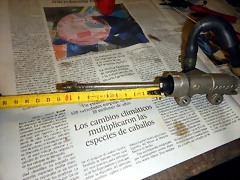 DSCN1941