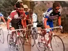 Perico-Reynolds1989-Pino-Lejarreta