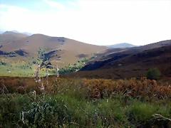 DSCN5104 DSCN5104