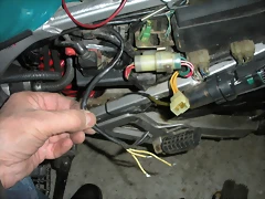 DSCN1290 DSCN1290