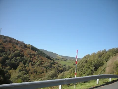 DSCN0039 DSCN0039