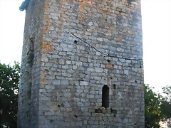 DSCF2431 DSCF2431