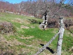 DSCN7937 DSCN7937