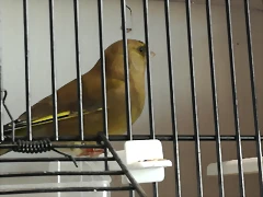 IMG_20170122_131838 IMG_20170122_131838