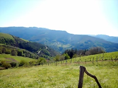 DSCN4630 DSCN4630