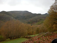 DSCN2916 DSCN2916