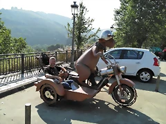 vaca1 vaca1