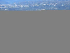 IMG_1775 IMG_1775