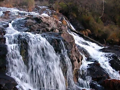 DSCN6694 DSCN6694