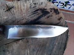 DSCF1644 DSCF1644