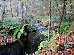DSCN1255 DSCN1255