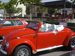 CIMG8739 CIMG8739