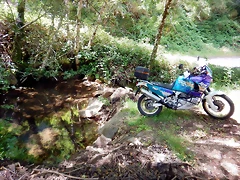 DSCN7628