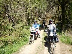 DSCN4426 DSCN4426