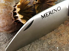 Jarota 8 Jarota 8