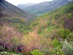 DSCN4417 DSCN4417