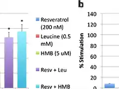 sinergia hmb y resveratrol 3