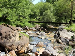 IMG_6763 IMG_6763