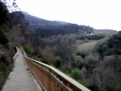 DSCN9677 DSCN9677