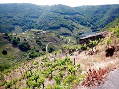 DSCN3371 DSCN3371
