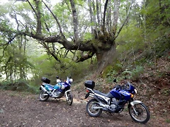 DSCN7192 DSCN7192