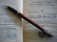P1030293 P1030293