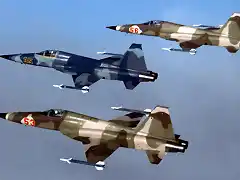 Tres F-5E Tiger II. Ao 1983