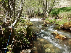 DSCN1157 DSCN1157