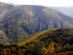 DSCN8665 DSCN8665