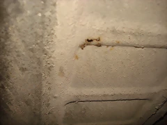 DSC03429