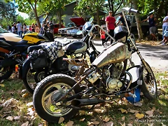DSC_0088 DSC_0088