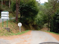 DSCN9950