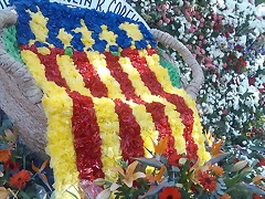 Senyera Flower