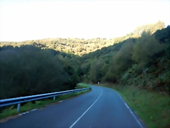 DSCN0686 DSCN0686