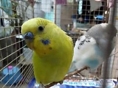 IMG_20180715_161803