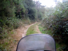 IMG_0438 IMG_0438