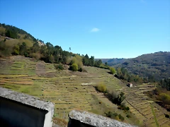DSCN5103 DSCN5103