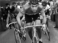 FLANDES 1977,MERCKX,MAERTENS,DEVLAEMINN