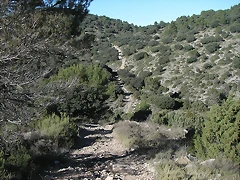 Alcublas PKL 036 Alcublas PKL 036