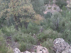 Alcublas PKL 114 Alcublas PKL 114
