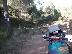 Alcublas PKL 029 Alcublas PKL 029