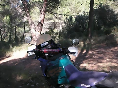 Alcublas PKL 030 Alcublas PKL 030
