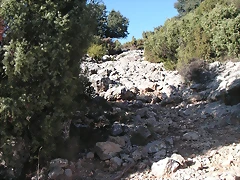 Alcublas PKL 048 Alcublas PKL 048