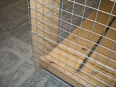 P6100251 P6100251