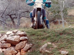 Cazorla '92 7