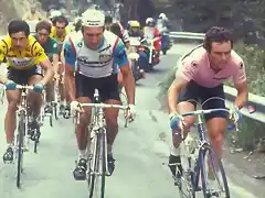 GIRO,82,HINAULT,SARONNI,