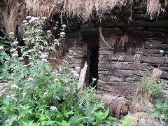 IMG_0297 IMG_0297