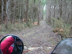 DSCN9867 DSCN9867
