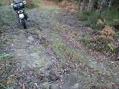 DSCN9874 DSCN9874