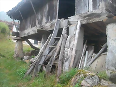 DSCN3975 DSCN3975